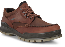 Load image into Gallery viewer, Ecco Menâ Track 25 Low Top Waterproof Hiking Shoe
